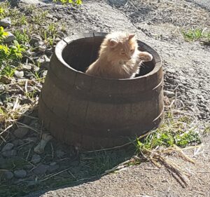 20190420_183638 (2)