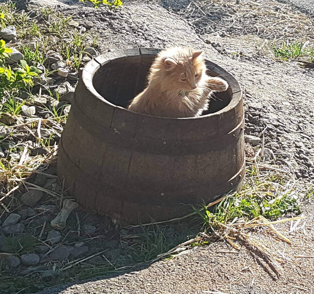 20190420_183638 (2)