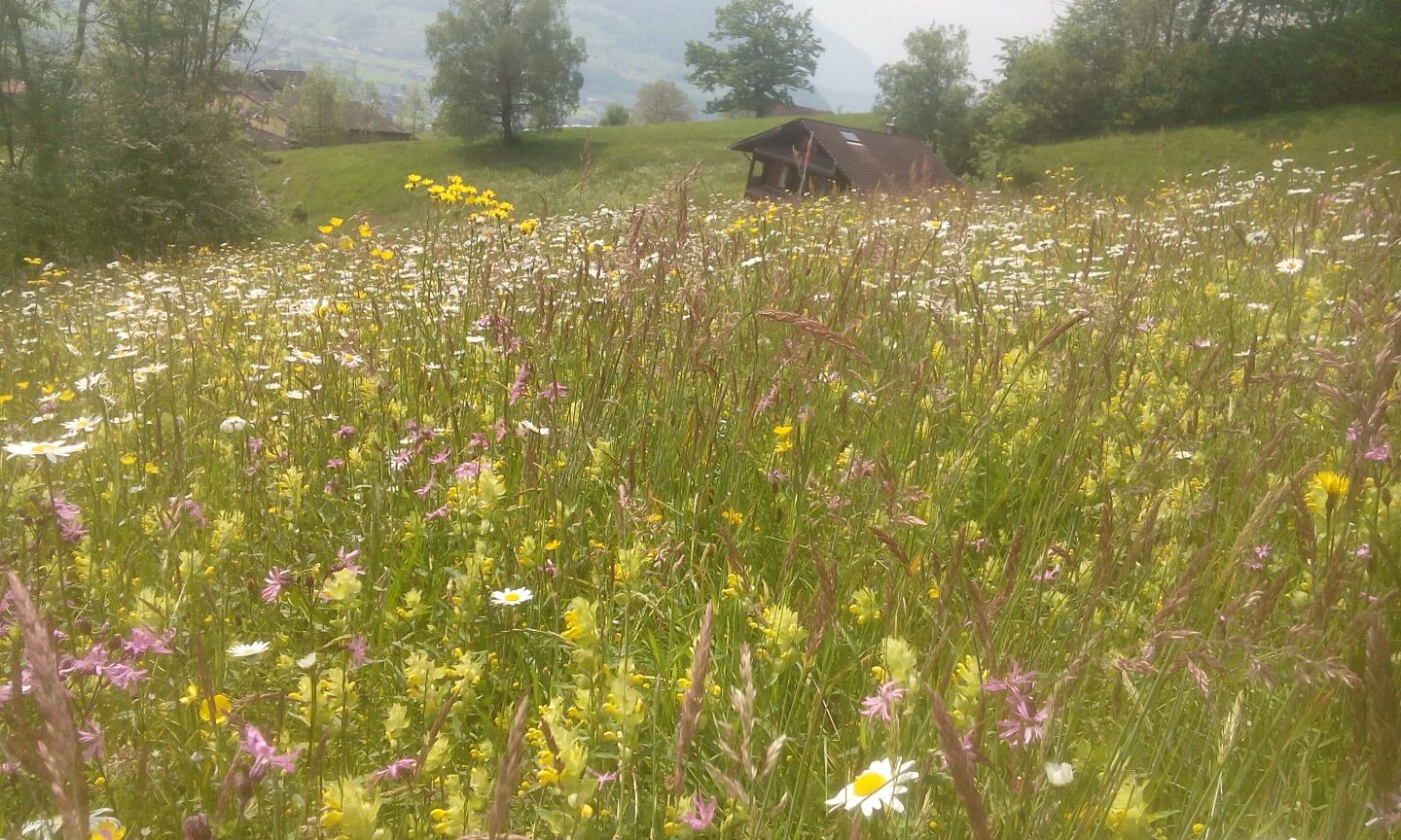 Biodiv