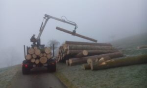 IMG-20200122-WA0009