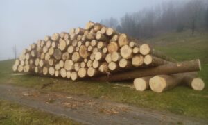 IMG-20200122-WA0010