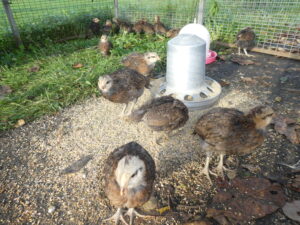 P1060140