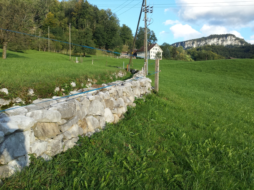 Trockenmauer