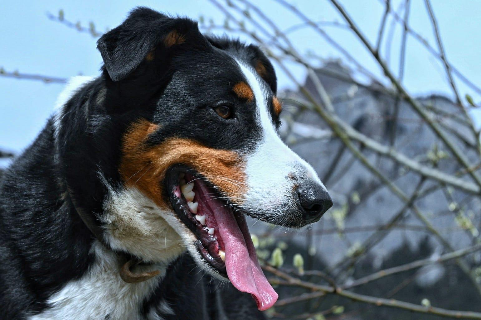 IMG-20210313-WA0009